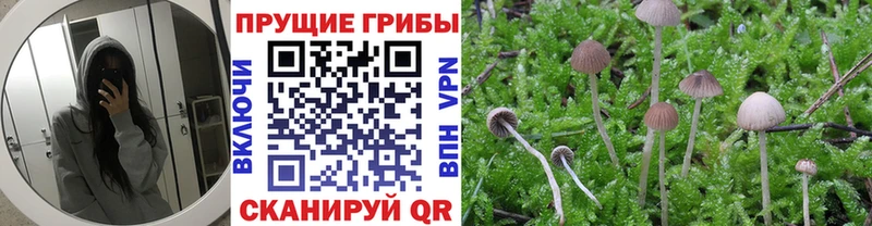 Галлюциногенные грибы Magic Shrooms  мориарти телеграм  Свирск 